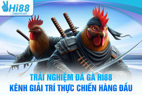 Trải Nghiệm Đá Gà Hi88 - Kênh Giải Trí Thực Chiến Hàng Đầu