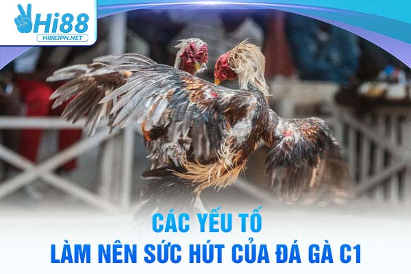 Các yếu tố làm nên sức hút của đá gà trực tiếp C1 Hi88