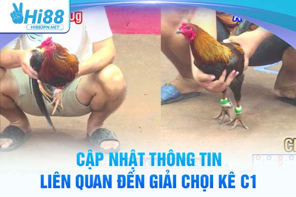 Cập nhật thông tin liên quan đến giải chọi kê C1