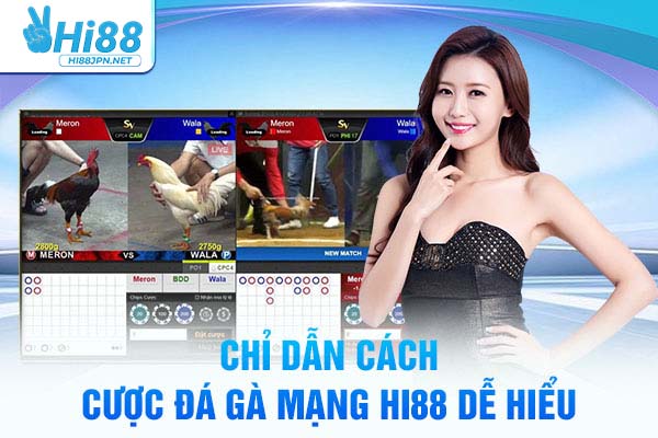 Chỉ dẫn cách cược đá gà mạng Hi88 dễ hiểu