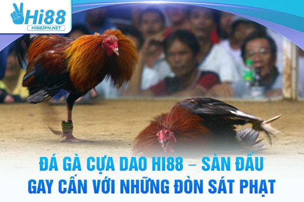 Đá Gà Cựa Dao Hi88 – Sàn Đấu Gay Cấn Với Những Đòn Sát Phạt