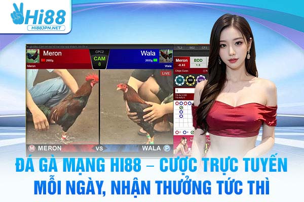 Đá Gà Mạng Hi88 – Cược Trực Tuyến Mỗi Ngày, Nhận Thưởng Tức Thì