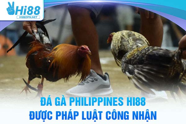 Đá gà Philippines Hi88 được pháp luật công nhận