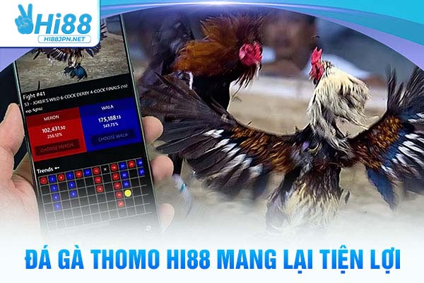 Đá gà thomo Hi88 mang lại tiện lợi