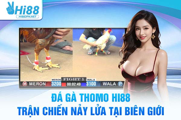 Đá Gà Thomo Hi88 – Trận Chiến Nảy Lửa Tại Biên Giới