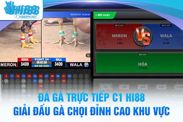 Đá Gà Trực Tiếp C1 Hi88 – Giải Đấu Gà Chọi Đỉnh Cao Khu Vực