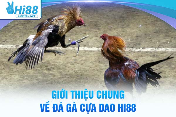 Giới thiệu chung về đá gà cựa dao Hi88
