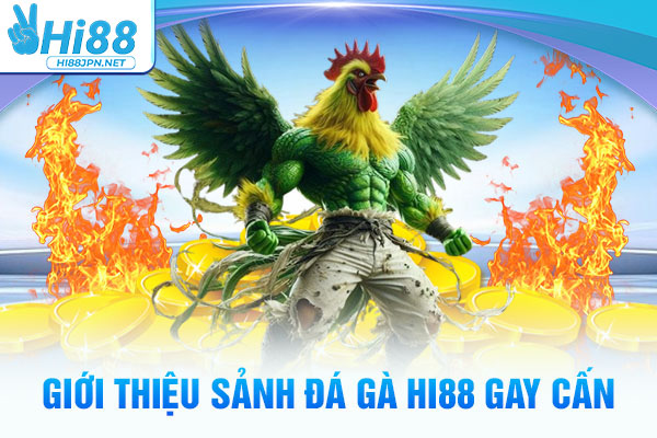 Giới thiệu sảnh Đá gà Hi88 gay cấn