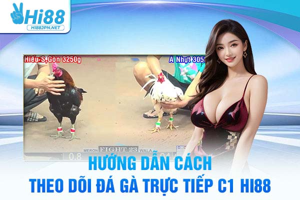 Hướng dẫn cách theo dõi đá gà trực tiếp C1 HI88