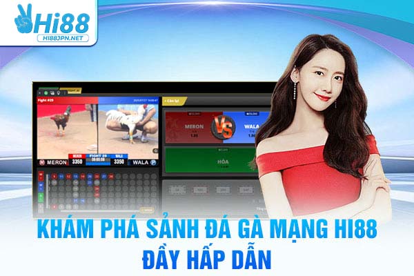 Khám phá sảnh đá gà mạng Hi88 đầy hấp dẫn