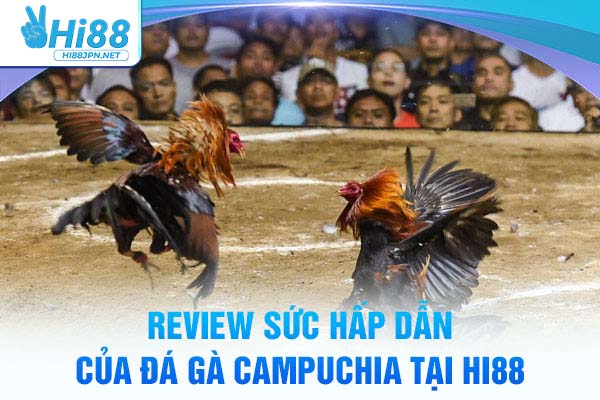 Review sức hấp dẫn của đá gà campuchia HI88