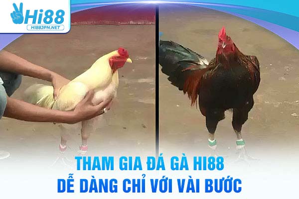 Tham gia đá gà cựa dao Hi88 dễ dàng chỉ với vài bước